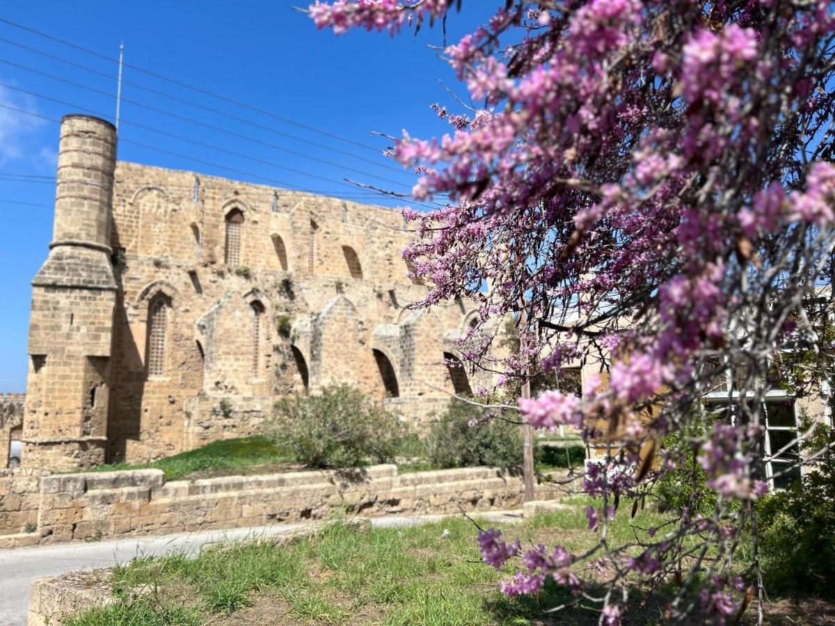 Royal Goddess Guest House, Walled City Famagusta (Northern Cyprus) Exterior foto